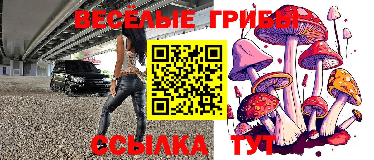 Благовещенск  даркнет сайт  Вход с VPN  Галлюциногенные грибы Magic Shrooms 